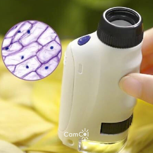 Microscope Kids