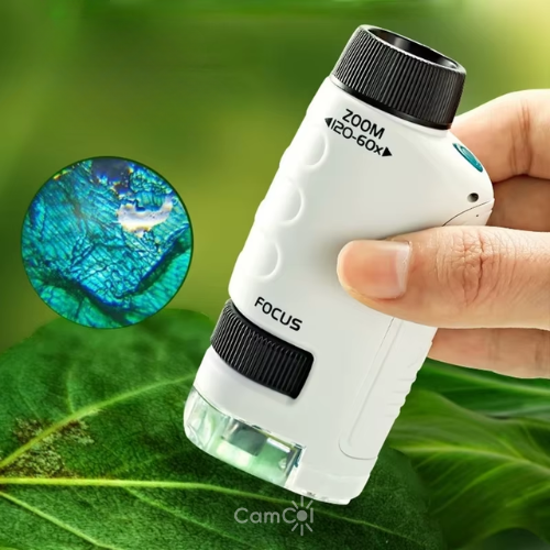 Microscope Kids