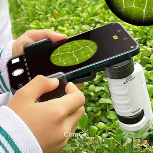 Microscope Kids